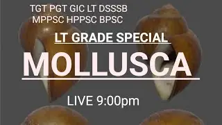 Mollusca -1