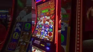 Free Games on New Phoenix Link #bonus #casinogames #casino #slot #casinobonus