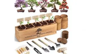 AVERGO Bonsai Tree Kit for Beginners &ndash; 5X Unique Japanese Bonzai Trees | Complete Indoor Starter Kit