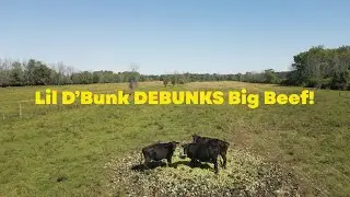 Lil D'Bunk Debunks Big Beef!