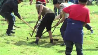 EL PALIN JUEGO MAPUCHE