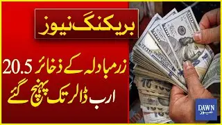 Pakistan&rsquo;s Foreign Exchange Reserves Reach $20.5 Billion | Breaking News | Dawn News