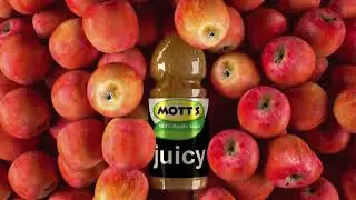 Fruit juice from the Mott's company