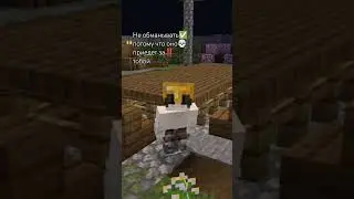 Пиши в ком. 💬 #minecraft #reels #fyp