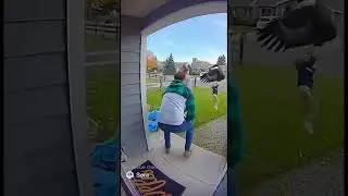Eagle attack on child 🥺 #baby #animals #viral #shorts #funny #eagles #ai #sora #cute #wildlife #usa
