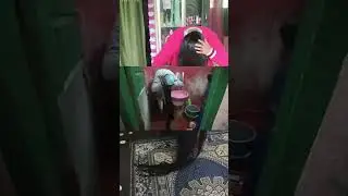 #my #second #day #haircare #routines  #haircare #hairwash #hairoil #beautiful #longhair#hair health