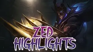 ZED HIGHLIGHTS: FEAR THE DEPREZZION! VEX MATCH & MENTALLY CLEAN TEAM ZEDGMENTS!