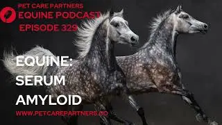 EP 329: Serum Amyloid A in Horses | Equine Inflammation & Health Monitoring Explained