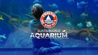 Sustainable Aquaria | Friend of the Sea | by Hesmart Design Studio