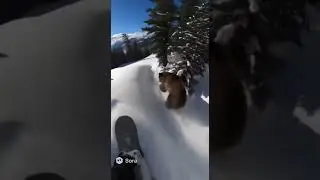 He Hit a BEAR While Snowboarding 😱🐻  #shorts #snowboarding #bear #gopro #viral
