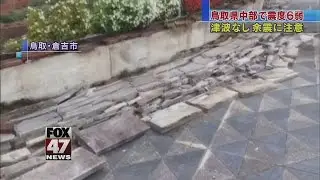 6.6 magnitude earthquake hits Japan