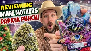 Перед Рождеством я попробовала папайевый пунш от Divine Mothers&hellip; Вау! 🍊🎄