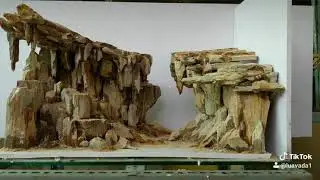 Layout Aquarium - #Cover rank 2 iaplc 2019