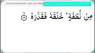 ‫80‬ He Frowned عبس Quran Arabic   Saad Ghamdi   Code#QQ1GH