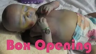 The box opening of Forecast a fantasy reborn baby by The Twisted beanstalk nursery