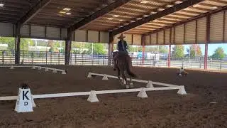 2025 Championships in Doswell VA Dressage trial L6
