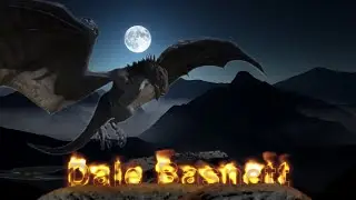 Dale Basnett Solo Artist
