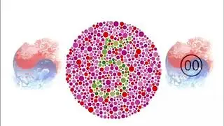 Colour Blindness Test for Skill Test In Korea 2025. CBT UBT #koreanking @Koreanking_lk 