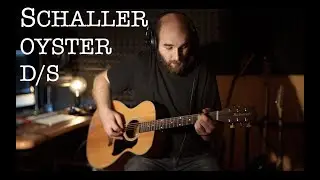 Best Acoustic Guitar Piezo Pickup in Price Range | Schaller Oyster D/S