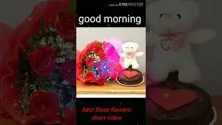 good morning  whatsapp status #short #status video