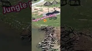 Big zoom in China...🫰🤩