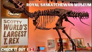 World's Largest T Rex! Royal Saskatchewan Museum | Must See!