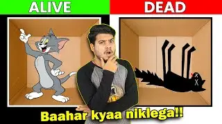 Schr&ouml;dinger's Cat - Quantum Physics की सबसे बड़ी रहस्य | The Biggest Mystery of Quantum Physics
