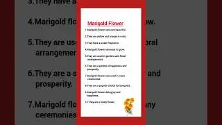 Marigold flowers essay || Essay on marigold flowers in English.