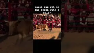 Are you crazy enough? #texas #bullriding #cowboys #rodeo #crazy #music #bull #farming #rap #slowed