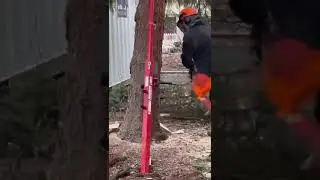 Baumf&auml;llung in Deutschland mit dem Tree Jack RH-PUSHER! 🌳✨