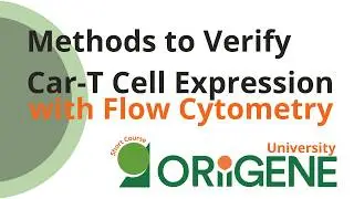 OriGene University - Verifying Car-T cell expression with flow cytometry!