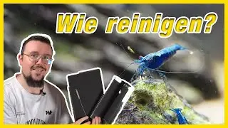 Tipps und Tricks f&uuml;r die richtige Schwammfilter-Reinigung!