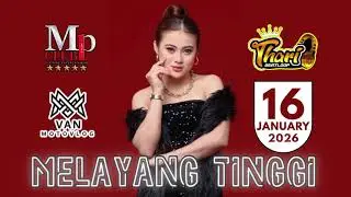 DJ THARI BEATLOOP || 16 JANUARI || 2026 || MP CLUB PEKANBARU #dj 