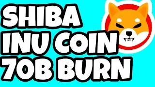 SHIBA INU COIN SMASH 70 MILLION BURN!!