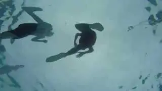 Brick rescue
