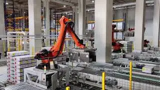 Inline Robot Arm Palletizing System / Robotla Paletleme Sistemi /Paletleme Robotu