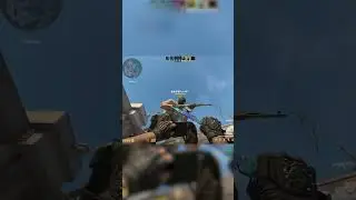 Какой важный курица 🤣 #видеоигры #игровыеновости #cs2