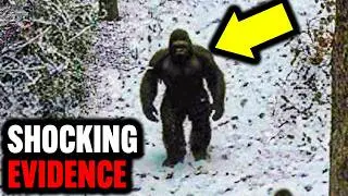 The MOST Convincing Bigfoot Evidence Ever Captured | Expedition Bigfoot