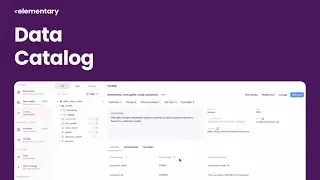 Elementary Data Catalog