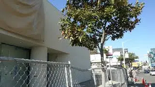 Kim Kardashian SKIMS Store Construction Sunset Blvd Los Angeles California USA March 21, 2025