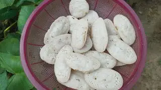 ঢেঁকিতে কোটা আলো চালের গুড়ো দিয়ে A to Z টিপস সহ পারফেক্ট চিতই পিঠা রেসিপি ॥ Chitoi Pitha Recipe