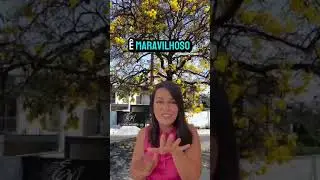 O bairro queridinho de Lagoa Santa