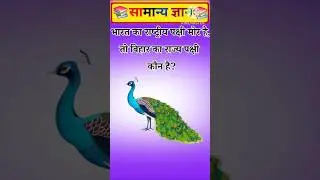 GK Top 20 Questions 💥GK Quiz | GK In Hindi | GK Questions and Answers [part 30] #gk​ #gkfacts​