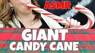 GIANT CANDY CANE ASMR *RELAXING OPEN MOUTH SOUNDS* (NO TALKING)