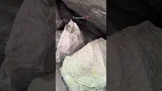 Yosemite #hike #yosemite #exploring #nationalpark