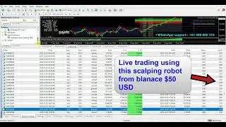 Profitable trading system to grow your balance from $50 to over $400,000 with MetaTrader 4/5