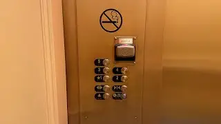 Otis Elevonic R Modded Elevators | Disney's Yacht Club Resort | Orlando, FL