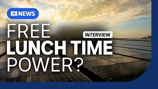 Is the government's plan to give free power not as good as it seems? | The Business | ABC NEWS