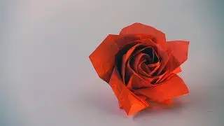 Origami Pentagon Rose Time Lapse - Oragmi Challenge