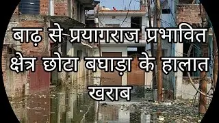 बाढ़ सें प्रयागराज हालात खराब... #prayagraj #bad #flood #prayagrajfood  #mahakumbh #uttarpradesh 